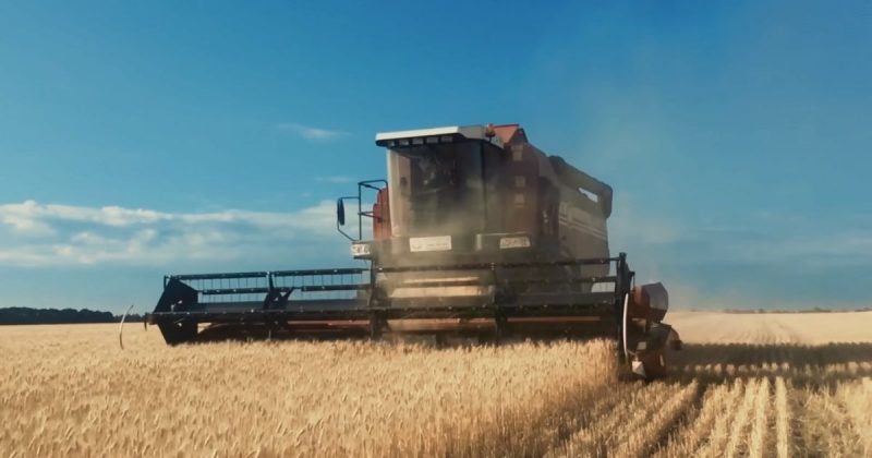 Procer &eacute; desenvolvedora de tecnologia para o p&oacute;s-colheita – Foto: Reprodu&ccedil;&atilde;o/Procer/ND