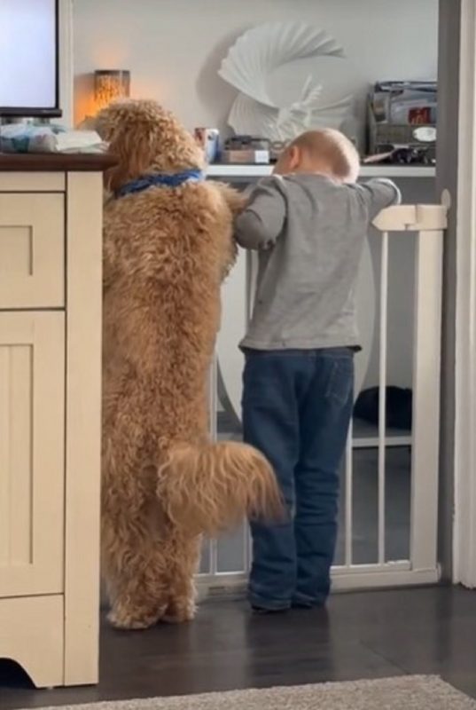 Mesmo ap&oacute;s meses, a dupla continua unida – Foto: Internet/Reprodu&ccedil;&atilde;o/ND