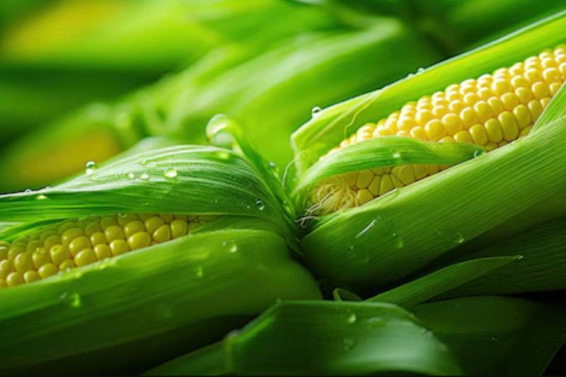 milho-verde
