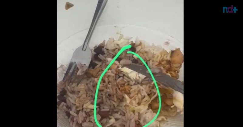 Imagem feita por estudante de Itajaí mostra larva em meio ao arroz, servido no almoço