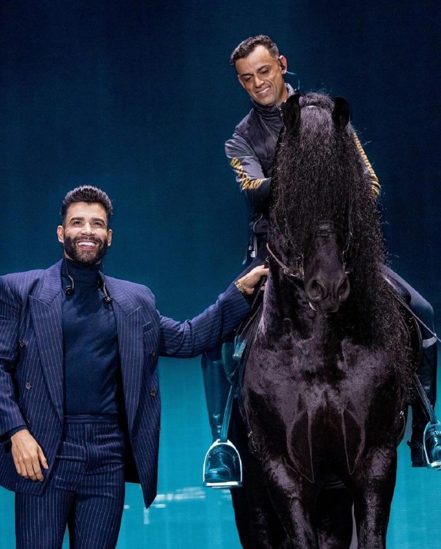 A presen&ccedil;a do animal causou contraversas nas redes sociais – Foto: Divulgado na Internet/Reprodu&ccedil;&atilde;o/ND