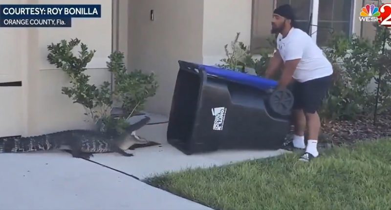 Homem captura crocodilo em carrinho de lixo