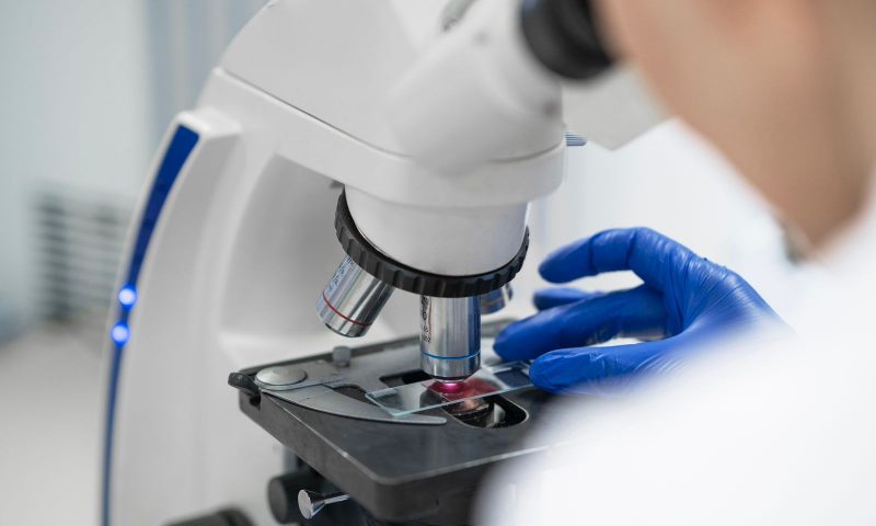 Joinville inicia nova fase de m&eacute;todo inovador contra a dengue – Foto: Prefeitura Municipal de Joinville/Divulga&ccedil;&atilde;o/ND