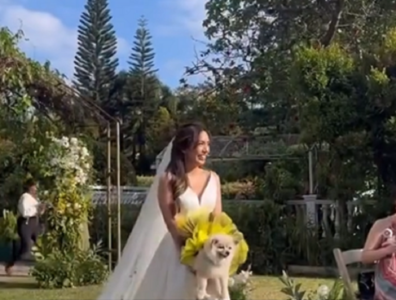 Vídeo já conquista mais de 400 mil visualizações - Foto: Noiva em curso/Reprodução/ND