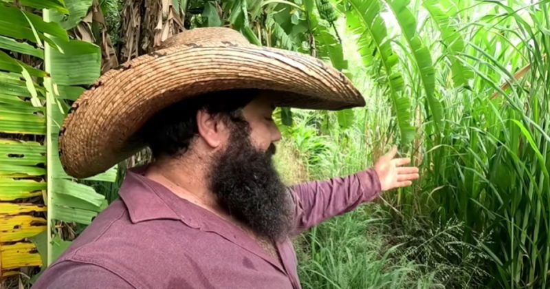 Confira a lista completa – Foto: @Fam&iacute;liaGaio/Reprodu&ccedil;&atilde;o/ND