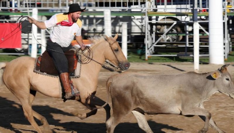 Prova do laço será uma das atividades do 51º Rodeio Nacional dos Praianos