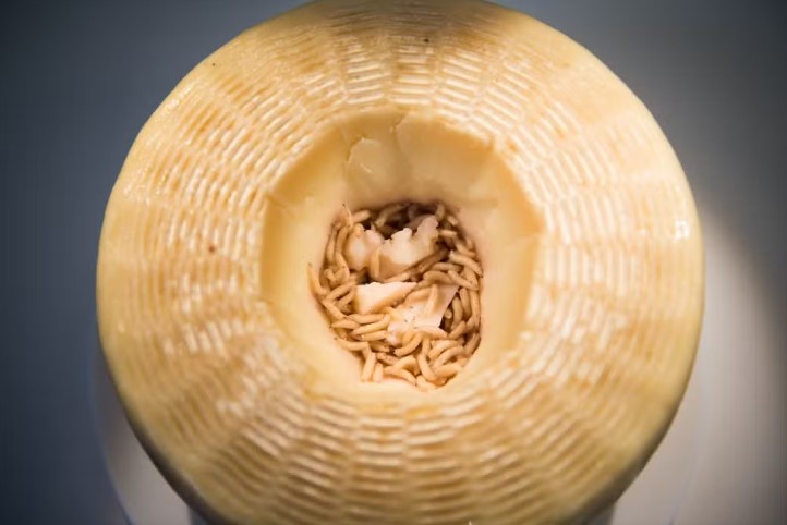 Segundo relatos de quem j&aacute; experimentou a iguaria, seu sabor &eacute; intenso, picante e costuma ficar um bom tempo na boca – Foto: Reprodu&ccedil;&atilde;o/Getty Images/ND