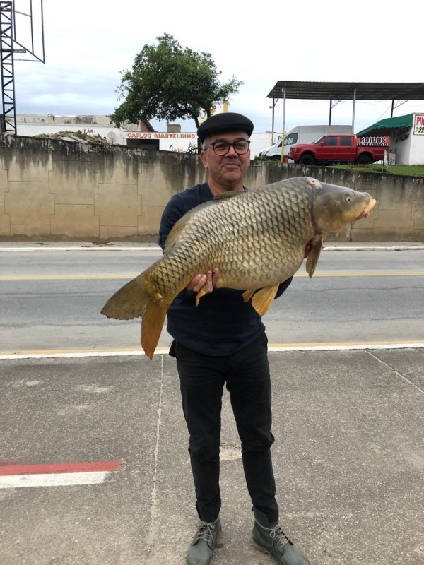Carpa espelhada de 24kg, recorde de seu Manoel – Foto: Arquivo Pessoal