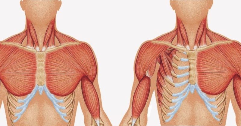 Síndrome rara causa alterações no corpo humano 