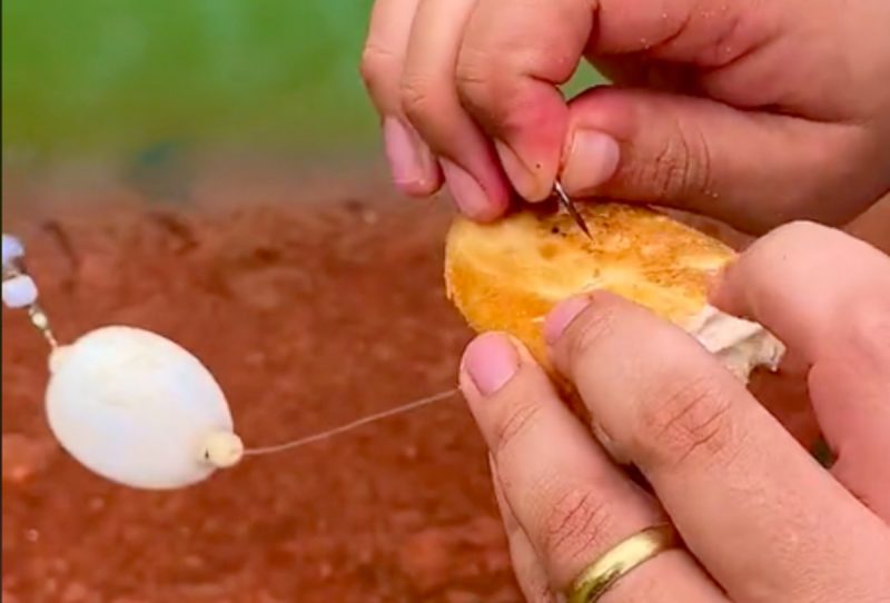 Homem mostra técnica para pescar peixes grandes 