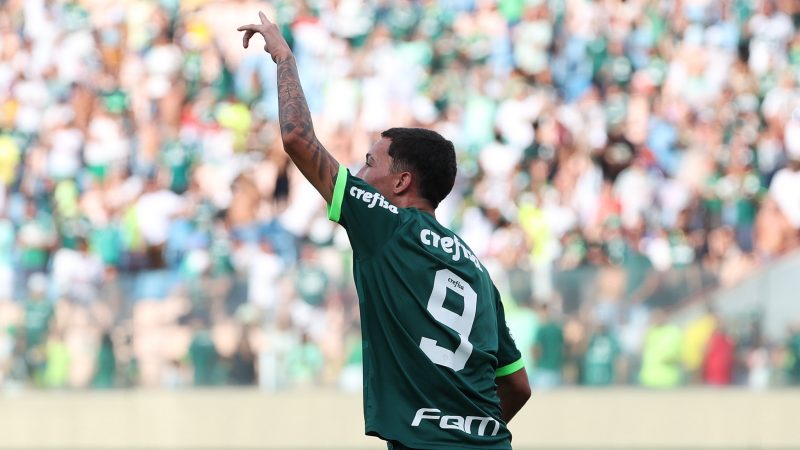 Palmeiras tem Thalys como 'novo Endrick'