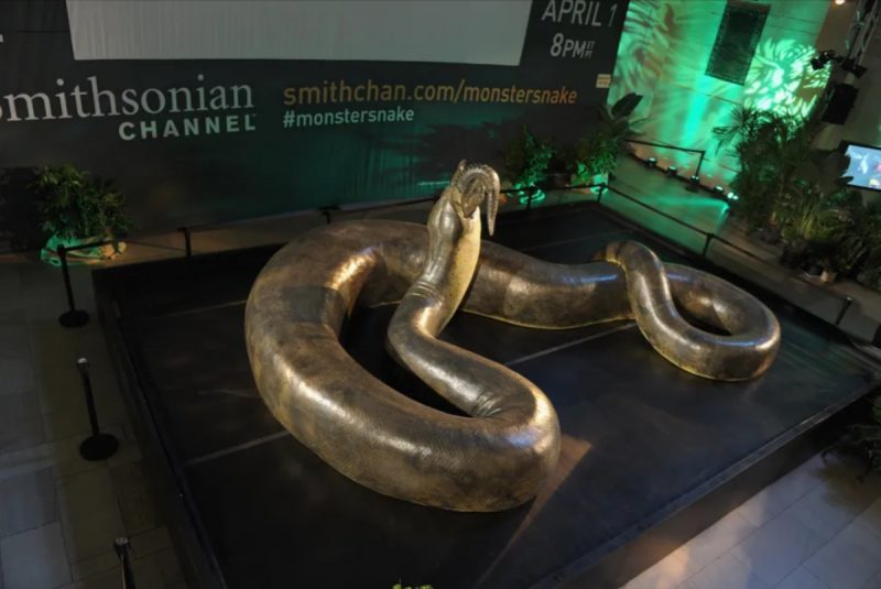 Cientistas descobrem fósseis de cobra Titanoboa