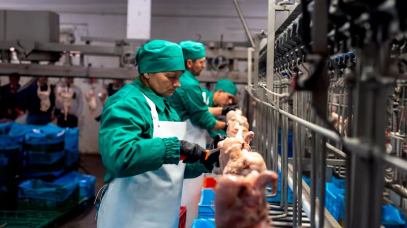 Dia do Trabalho é celebrado nesta quarta-feira (1º)