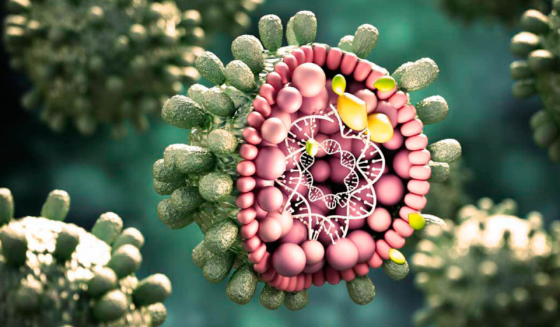 Imagem 3D mostra projeção de vírus da hepatite, doença altamente letal