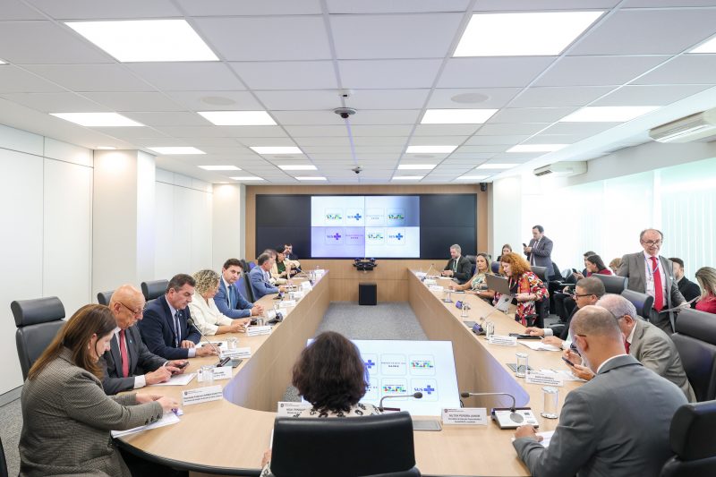 Ministra da Saúde recebeu parte da bancada de SC e a secretária Carmem Zanotto - Foto: Walterson Rosa/MS/ND