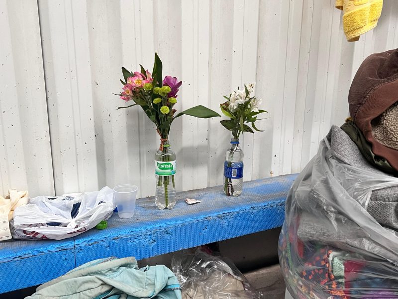 Foto dos dois vasos de flores em abrigo