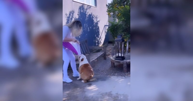 Momento em que influenciadora é atacada