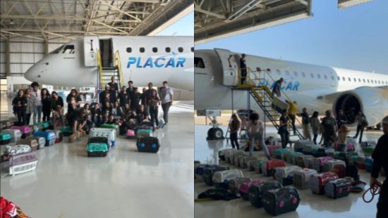 Avião da presidente do Palmeiras é usado para resgatar animais no RS