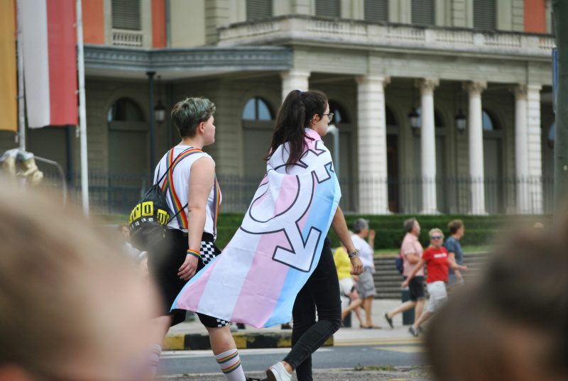 Jovens carregam a bandeira trans na Parada do Orgulho LGBT