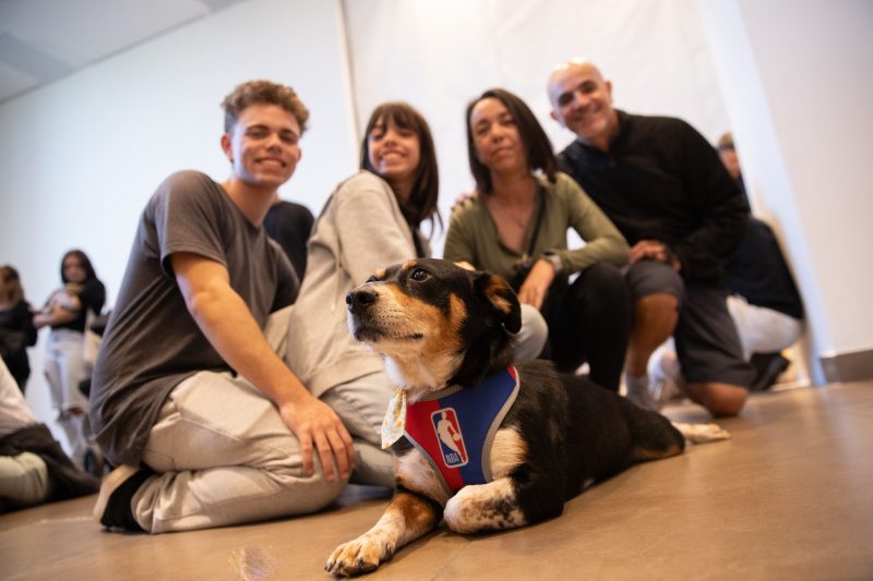 Buddy foi um dos animais adotados em SC