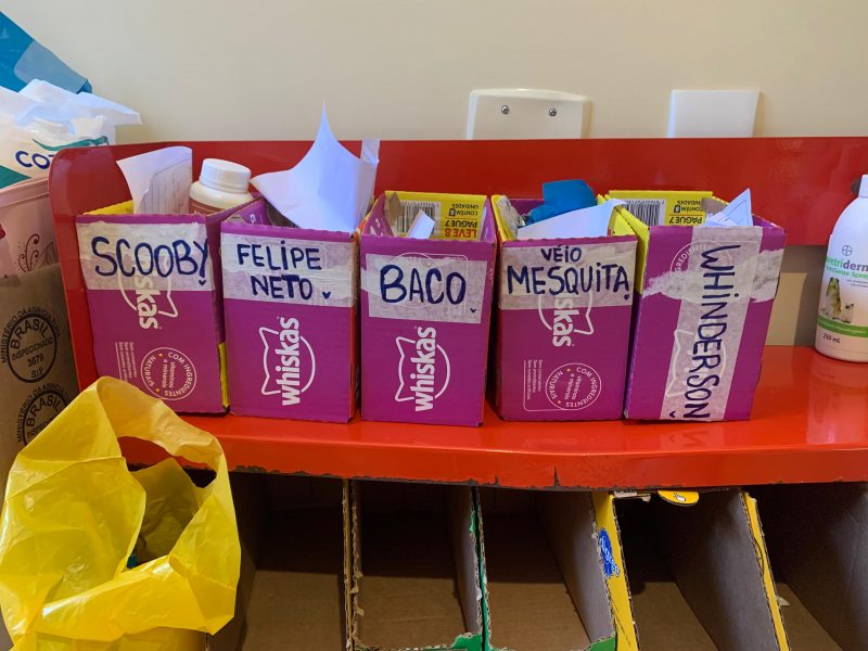 O abrigo batizou alguns dos cãezinhos resgatados com nomes de personalidades que fizeram doações para as vítimas das enchentes no RS