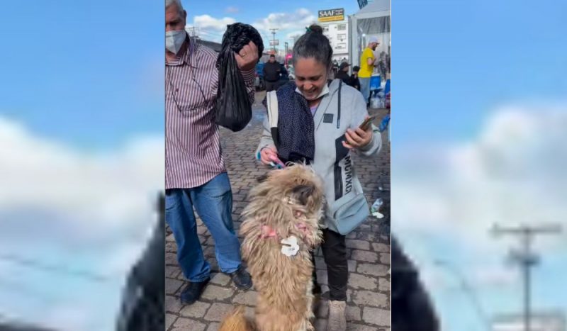 Cão reencontra família após 10 dias perdido nas enchentes do RS