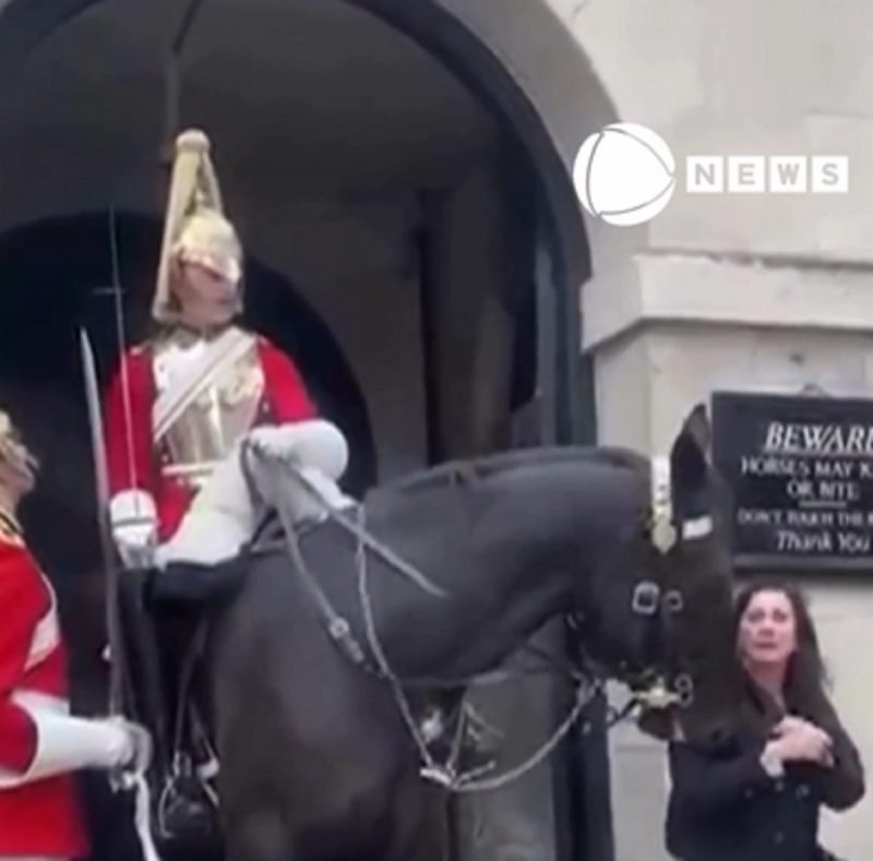 Turistas foram mordidos por cavalos da Guarda Real em Londres - Foto: Record News/Reprodução/ND