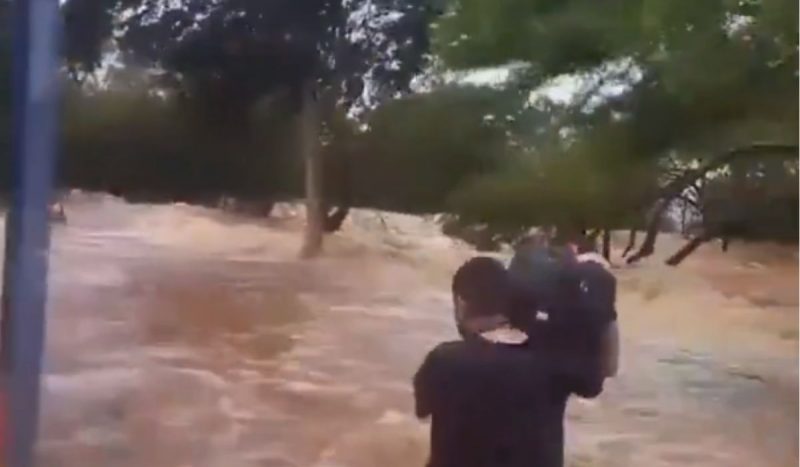 Homem resgatando animais das cheias do Guaíba 