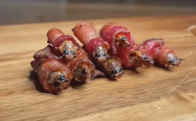 Imagem dos insetos que são consumidos como alimentos