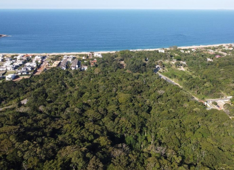 &Aacute;rea &eacute; pr&oacute;xima de um dos destinos tur&iacute;sticos de Balne&aacute;rio Cambori&uacute;: a Praia do Estaleiro – Foto: Reserva Estaleiro