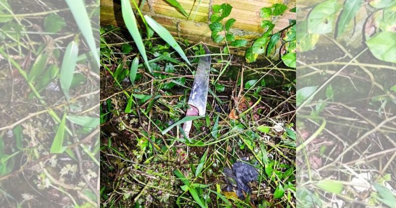 Homem é encontrado morto com tiro na cabeça em mangue em Joinville