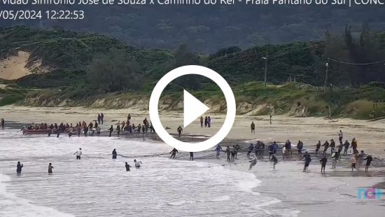 Vídeo mostra o porquê da liderança absoluta de praia do Sul no tainhômetro de Florianópolis