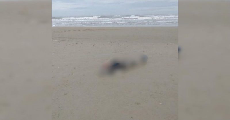 Corpo foi encontrado na beira-mar