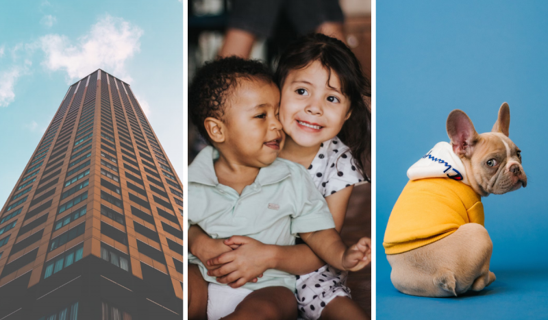 Fotomontagem mostra 3 fotos: à esquerda um prédio visto de baixo para cima com diversos andares e ao fundo o céu azul; no centro a foto de uma menina de cabelos castanhos escuros sorrindo abraçando um bebê negro de cabelos curtos e cacheados; e à direita a foto de um bulldog francês sentado de costas olhando para a câmera usando casaco de moletom amarelo e em frente a fundo azul claro. Imagem é utilizada para ilustrar matéria sobre imóveis alugados