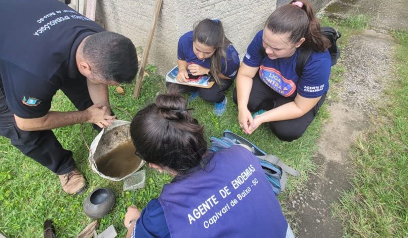 Planos de combate à dengue deverão ser enviados em 15 dias ao TCE/SC