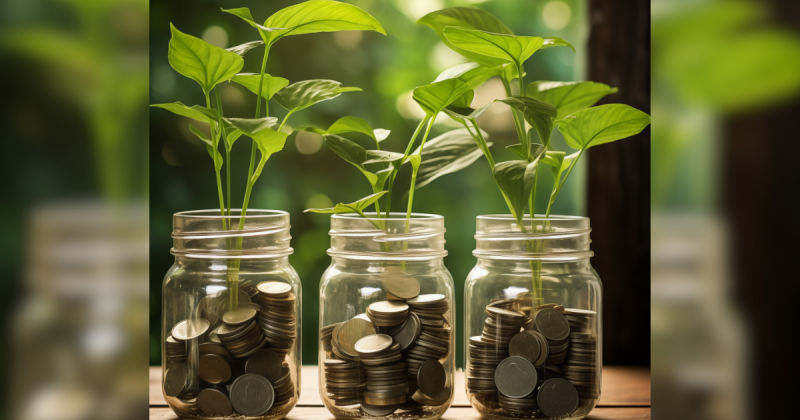 Vidros com moedas e plantas para atrair prosperidade