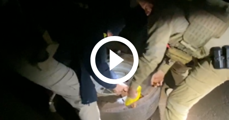 Policiais de SC acham drogas em carreta que levava donativos ao RS