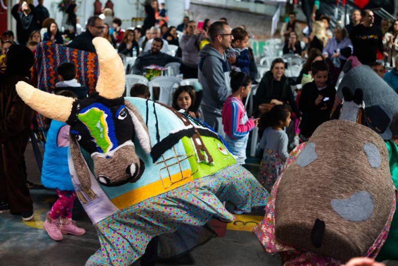 Festa do Divino Espírito Santo começa nesta quinta em Florianópolis
