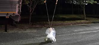 lei proibindo o lançamento de balões chegou a ser aprovada em 2021; na imagem o cocô enviado