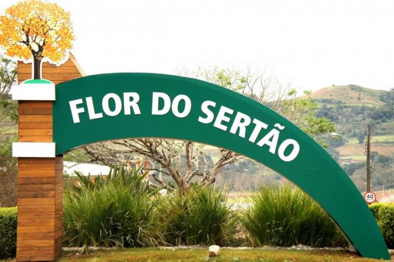 Flor do Sertão lidera o ranking de analfabetismo entre os municípios catarinenses