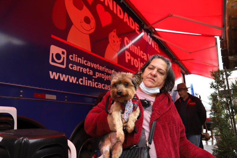 Jaraguá do Sul tem programa gratuito de castração de cães e gatos