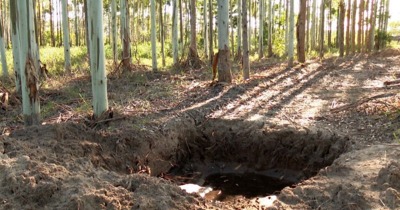 Polícia localizou cemitério clandestino