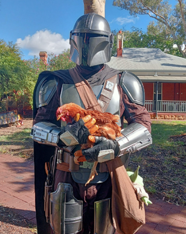 Nas publicações, é mostrado as aventuras de Wendy - Foto: Facebook Wendy Chicken/Reprodução/ND