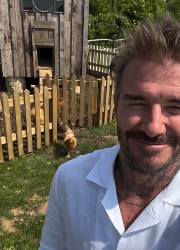 Ex-jogador de futebol David Beckham é perseguido por grupo de galinhas e vídeo viraliza - Foto: David Beckham/Reprodução/ND