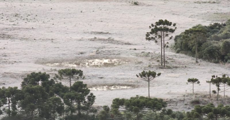 Inverno em 2024 inicia nesta quinta-feira (20), segundo o Inmet