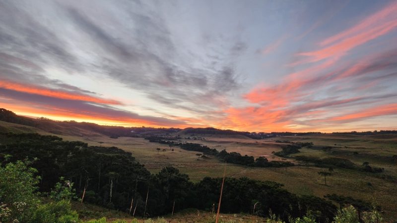 Imagem da geada cobrindo os campos verde de São Joaquim 