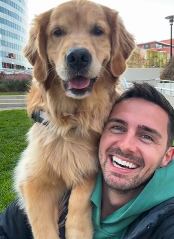 Golden Retriever chegou correndo e sorrindo para a c&acirc;mera – Foto: Internet/Reprodu&ccedil;&atilde;o/ND
