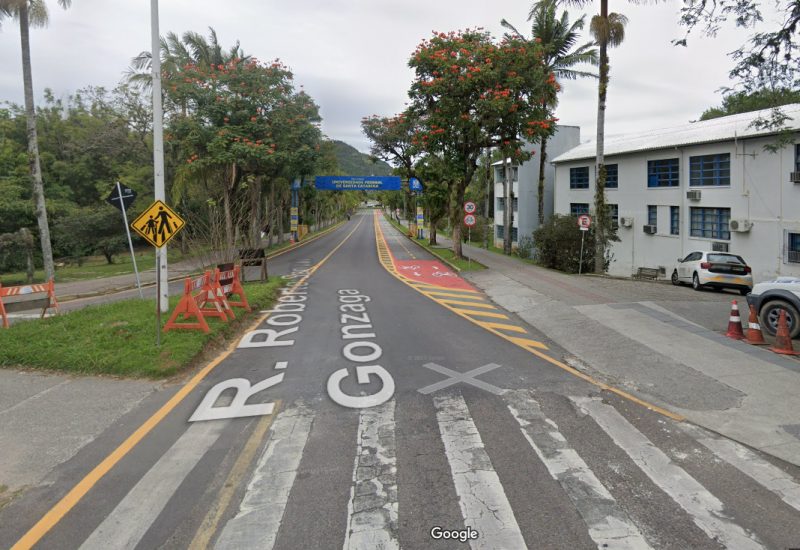 Árvore com plantas tóxicas na UFSC