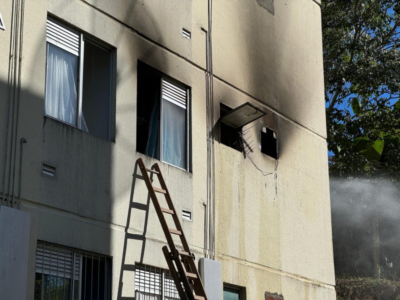 Acidente deixa tr&ecirc;s pessoas feridas e um cachorro morto – Foto: Moises Stuker/NDTV