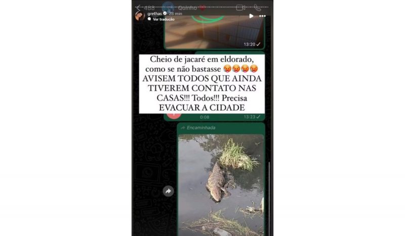 jacarés foram encontrados por equipe de Pedro Scooby no RS